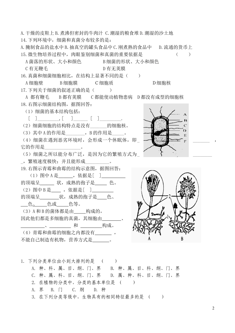 八上人教版生物细菌和真菌附参考答案单元检测试卷下载_第2页