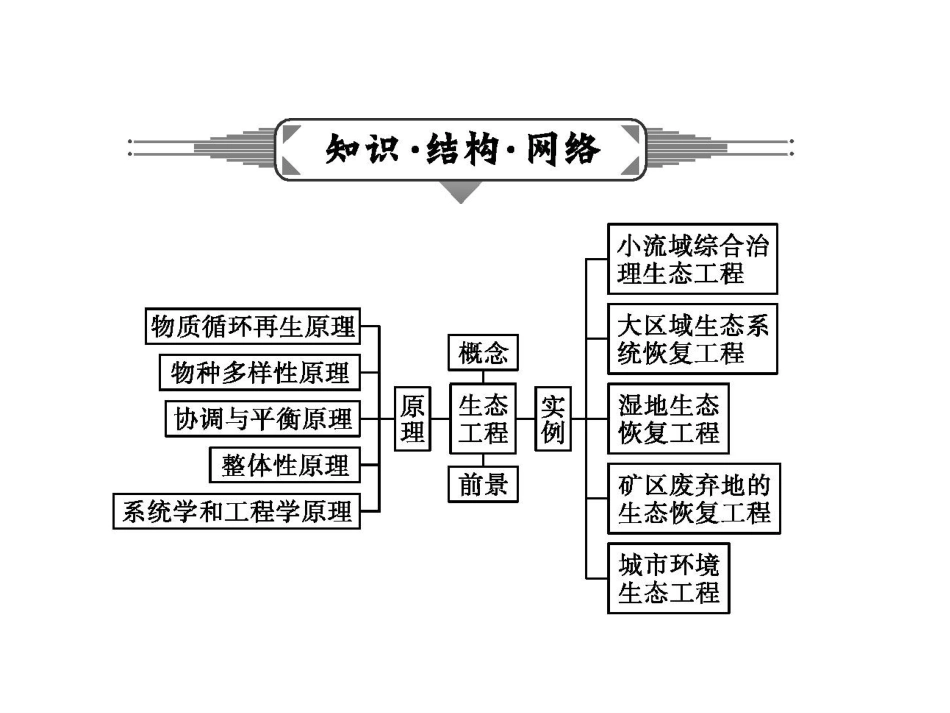 免费下载高中生物选修3公开课专题5:生态工程ppt课件_第2页