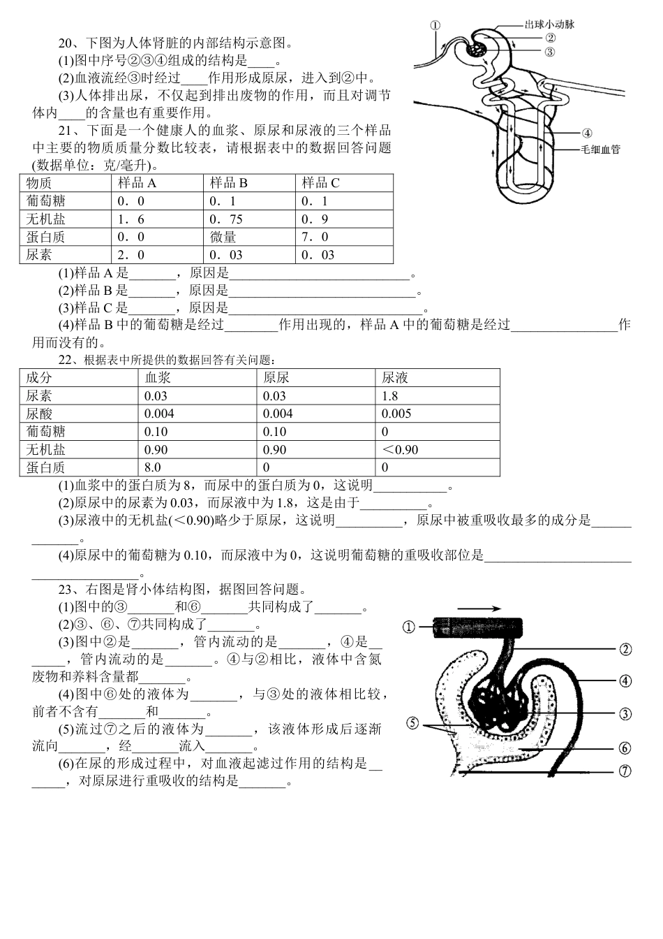 下载七年级下册生物第五章:人体内废物的排出练习试卷8_第2页