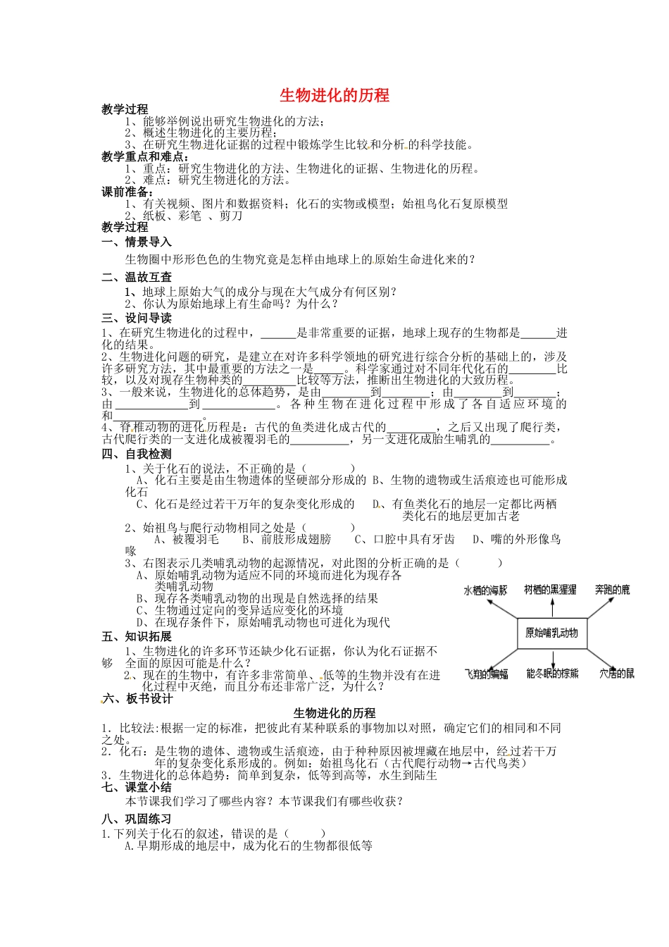 生物优质课第三章:生物的进化教案教学设计下载_第1页