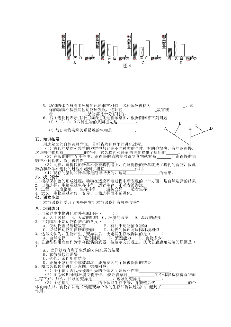 人教版生物第三章:生物的进化教学设计教案下载_第2页