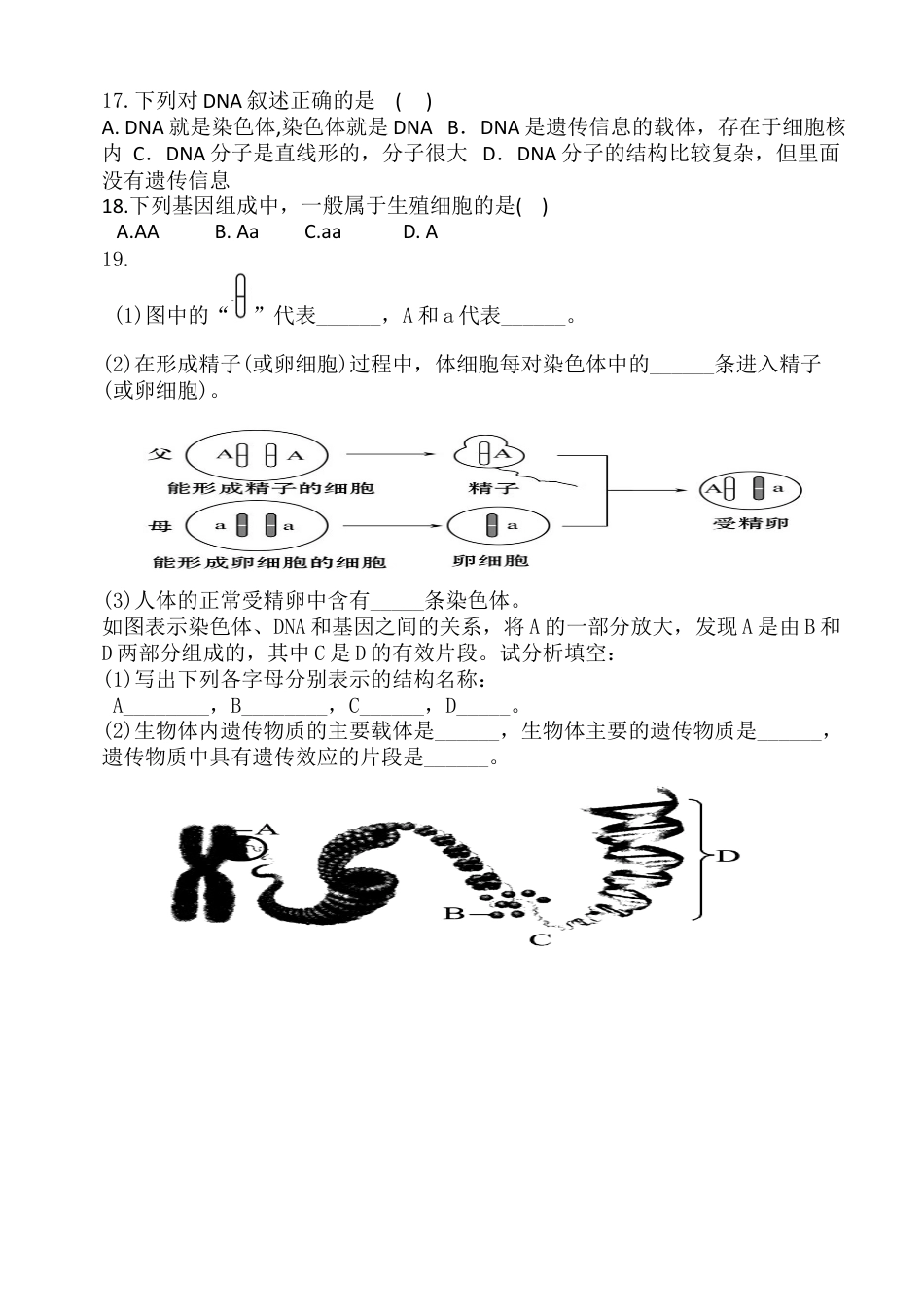 下载八年级下册生物第二章:生物的遗传和变异练习试卷5_第2页